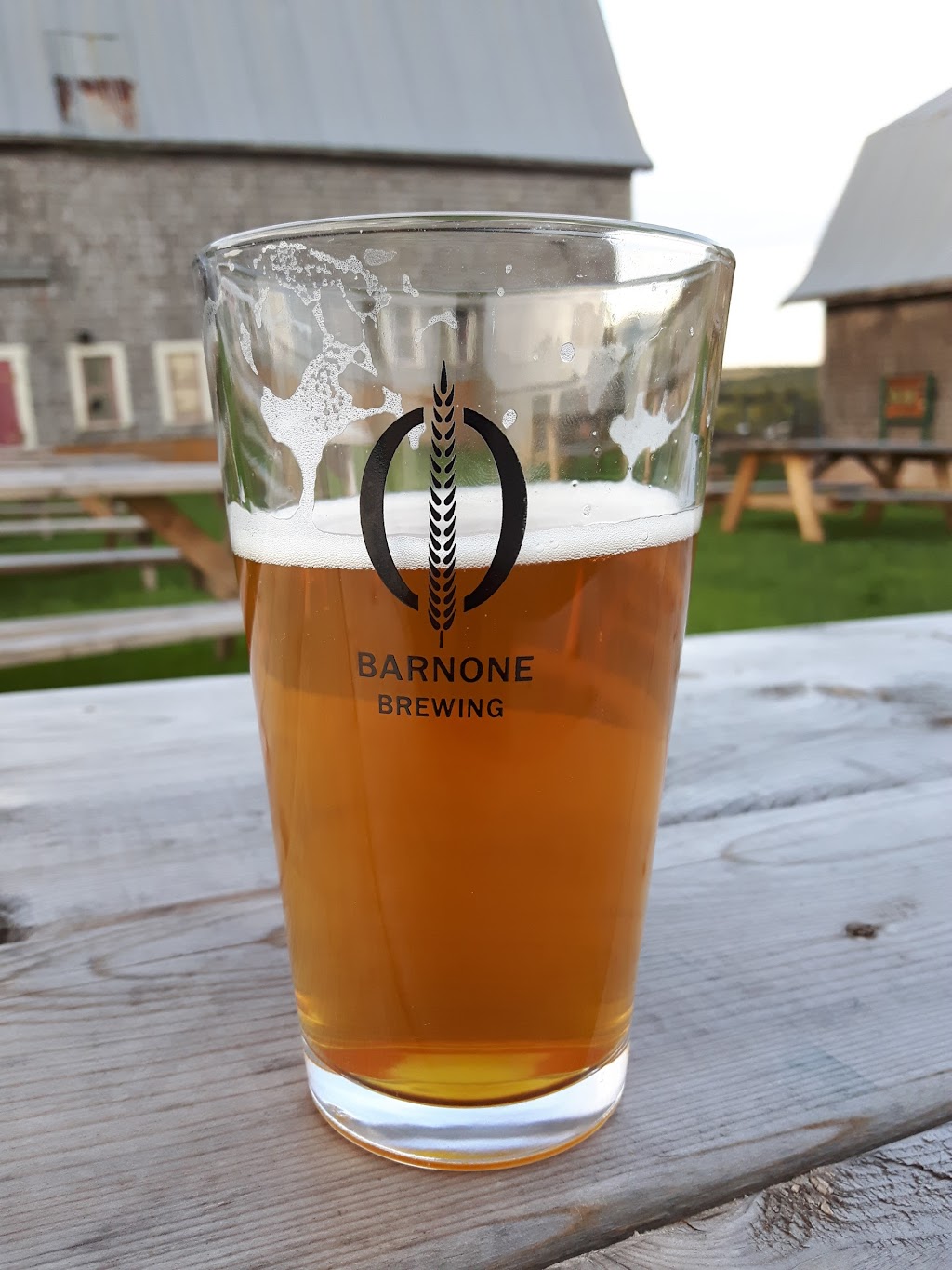 Barnone Brewery and Hop Farm | 4248 Route 225, Breadalbane, Prince Edward Island C0A 1E0, Canada | Phone: (902) 303-2923