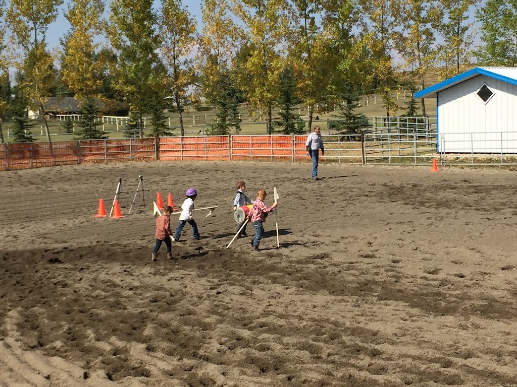 Springbank Equestrian Centre | 25 Robinson Rd, Calgary, AB T3Z 3K6, Canada | Phone: (403) 299-1111