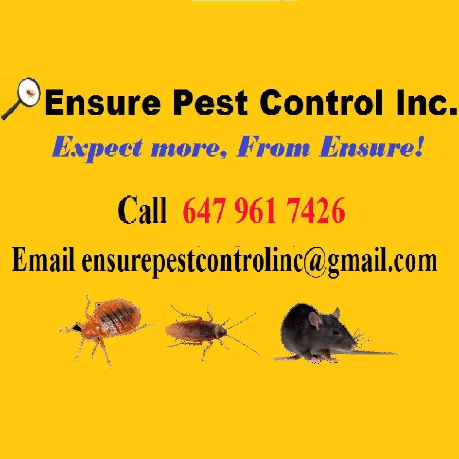 Ensure Pest Control Inc. | 2247 Hurontario St, Mississauga, ON L5A 2G2, Canada | Phone: (647) 961-7426