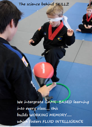 Maple Ridge Karate | 20306 Dewdney Trunk Rd Unit 5, Maple Ridge, BC V2X 6E3, Canada | Phone: (778) 240-0503