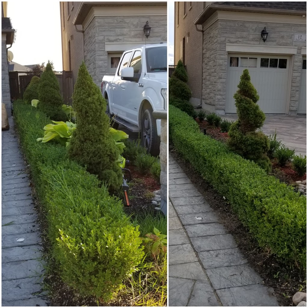 No1. Lawn and snow service INC | 67 Eastern Ave, Tottenham, ON L0G 1W0, Canada | Phone: (647) 971-3034