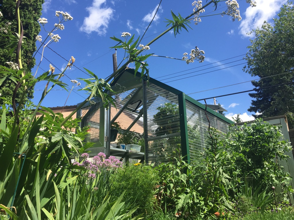 My Own Greenhouse | 50368, Range Rd 243, AB T4X 0N5, Canada | Phone: (780) 983-2344