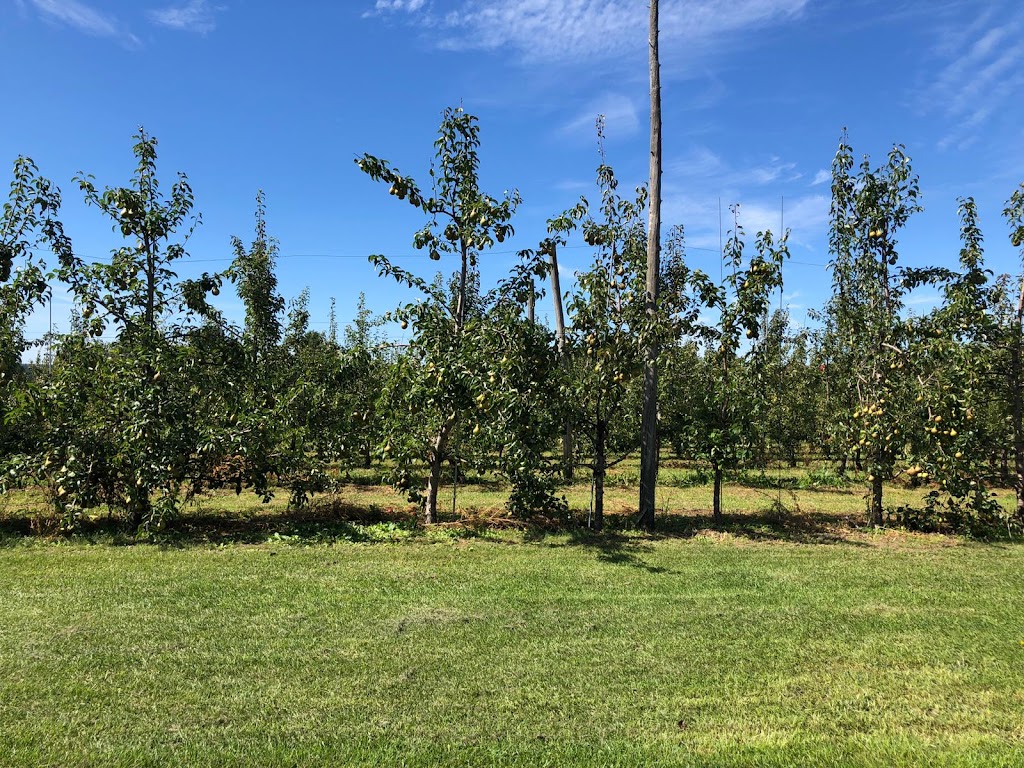 Philion Orchards | 389 QC-202, Hemmingford, QC J0L 1H0, Canada | Phone: (450) 247-3133