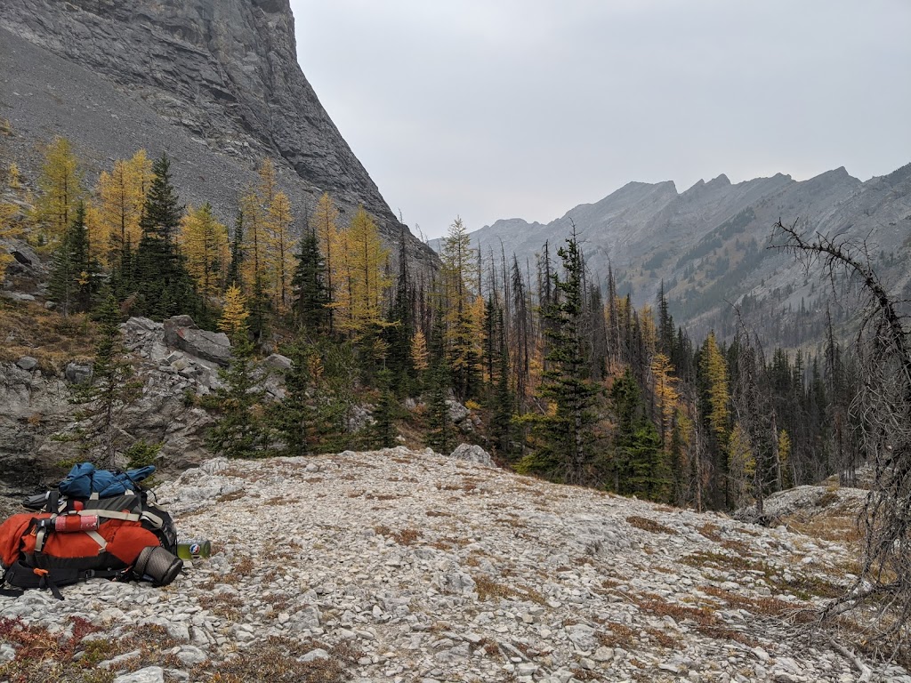 Buller Mountain Day Use | Spray Valley Provincial Park - Kananaskis Country, Alberta T0L 2C0, Canada | Phone: (403) 678-0760