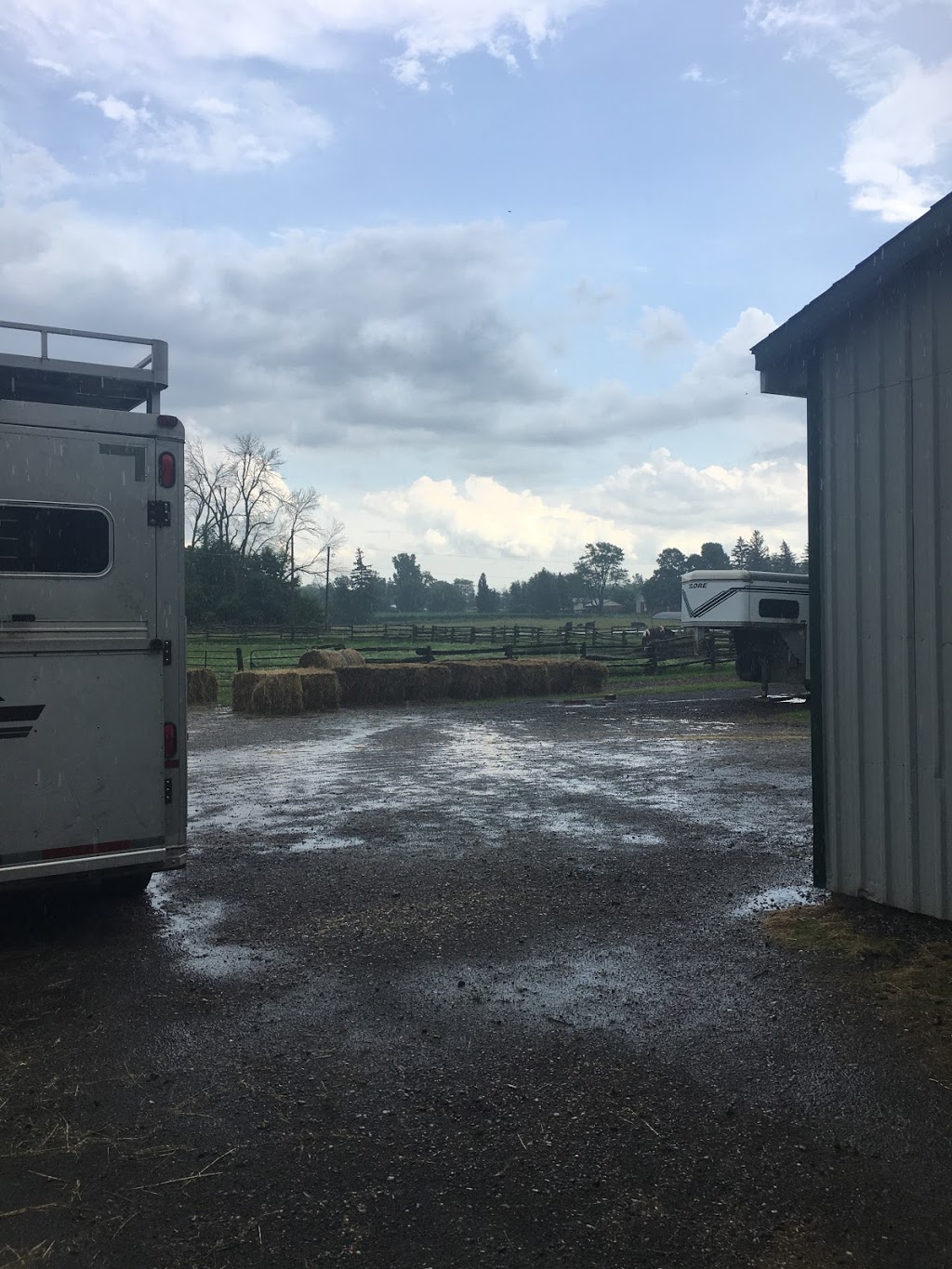 Shadowlane Stables | 10954 Gold Creek Dr, Komoka, ON N0L 1R0, Canada | Phone: (519) 317-5454