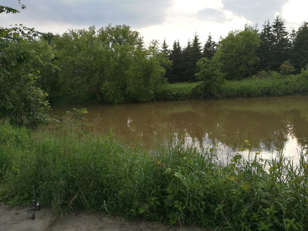 Minesing Wetlands | 363 Mill St, Angus, ON L0M 1T2, Canada | Phone: (705) 424-1479