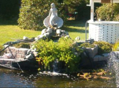 Woodlawn Water Gardens | 485 Woodlawn Dr, Shelburne, NS B0T 1W0, Canada | Phone: (902) 875-3864
