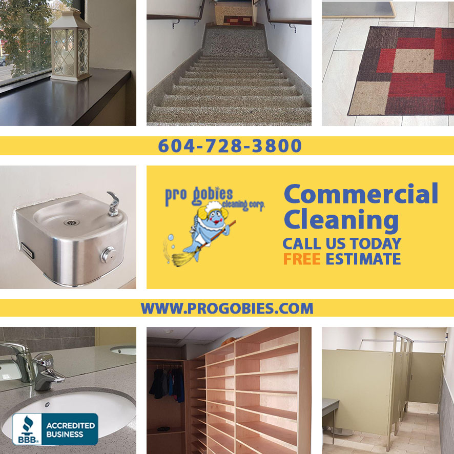 Progobies Cleaning Service | 4098 Irmin St, Burnaby, BC V5J 1X5, Canada | Phone: (604) 728-3800