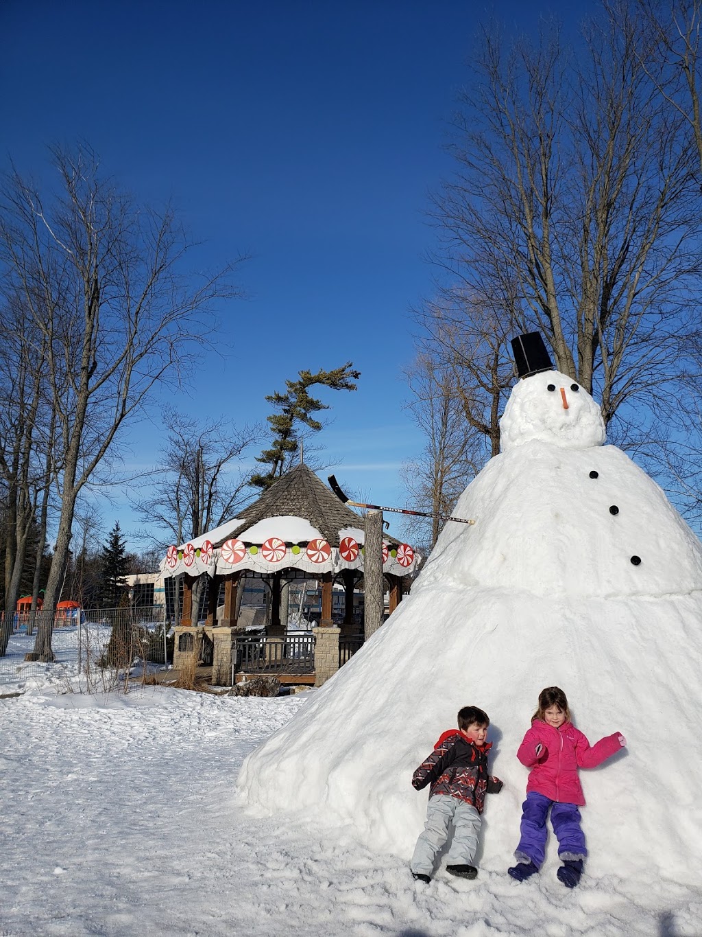 Oakwood Outdoor Skating Rink | 1724 Mosley St, Wasaga Beach, ON L0L 2P0, Canada | Phone: (705) 429-2414