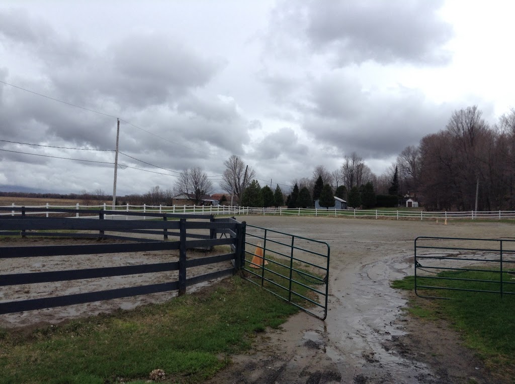 Centre Equestre La Chevalerie | 1520 Grand Rang Saint-Charles, Saint-Paul-dAbbotsford, QC J0E 1A0, Canada | Phone: (450) 379-9381