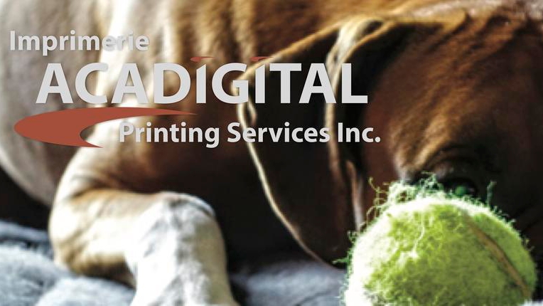 Acadigital Printing | 406 Champlain St, Dieppe, NB E1A 1P3, Canada | Phone: (506) 851-1498