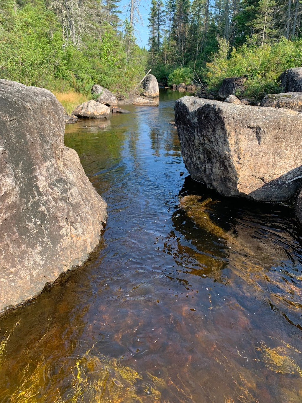 ZEC Lac-de-la-Boiteuse | 699 Chemin du Lac-à-lOurs, Bégin, QC G0V 1B0, Canada | Phone: (418) 544-0129