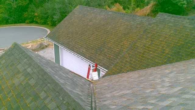 Ranger Industries Moss removal/ Roof Treatment | 923 Jenkins Ave, Victoria, BC V9B 2N8, Canada | Phone: (250) 661-2241