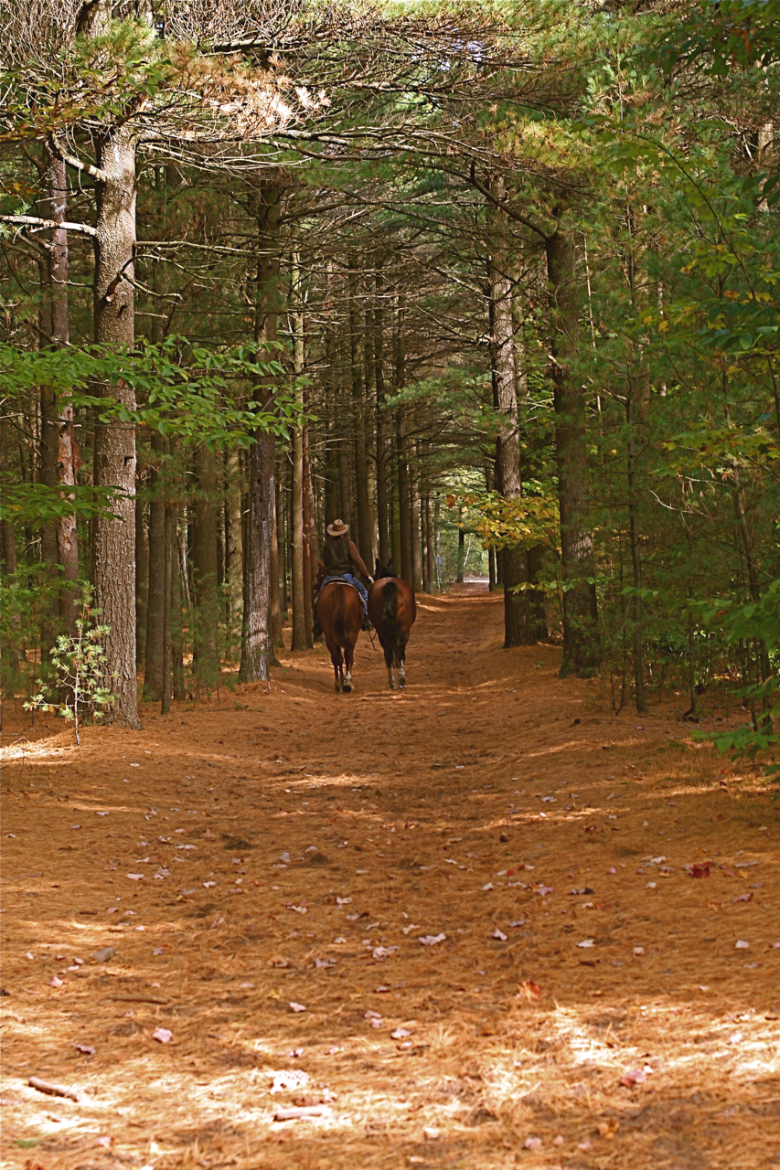 Parc nature les Forestiers-de-Saint-Lazare | 2800 Chemin Lotbinière, Saint-Lazare, QC J7T 3H9, Canada | Phone: (450) 424-8000