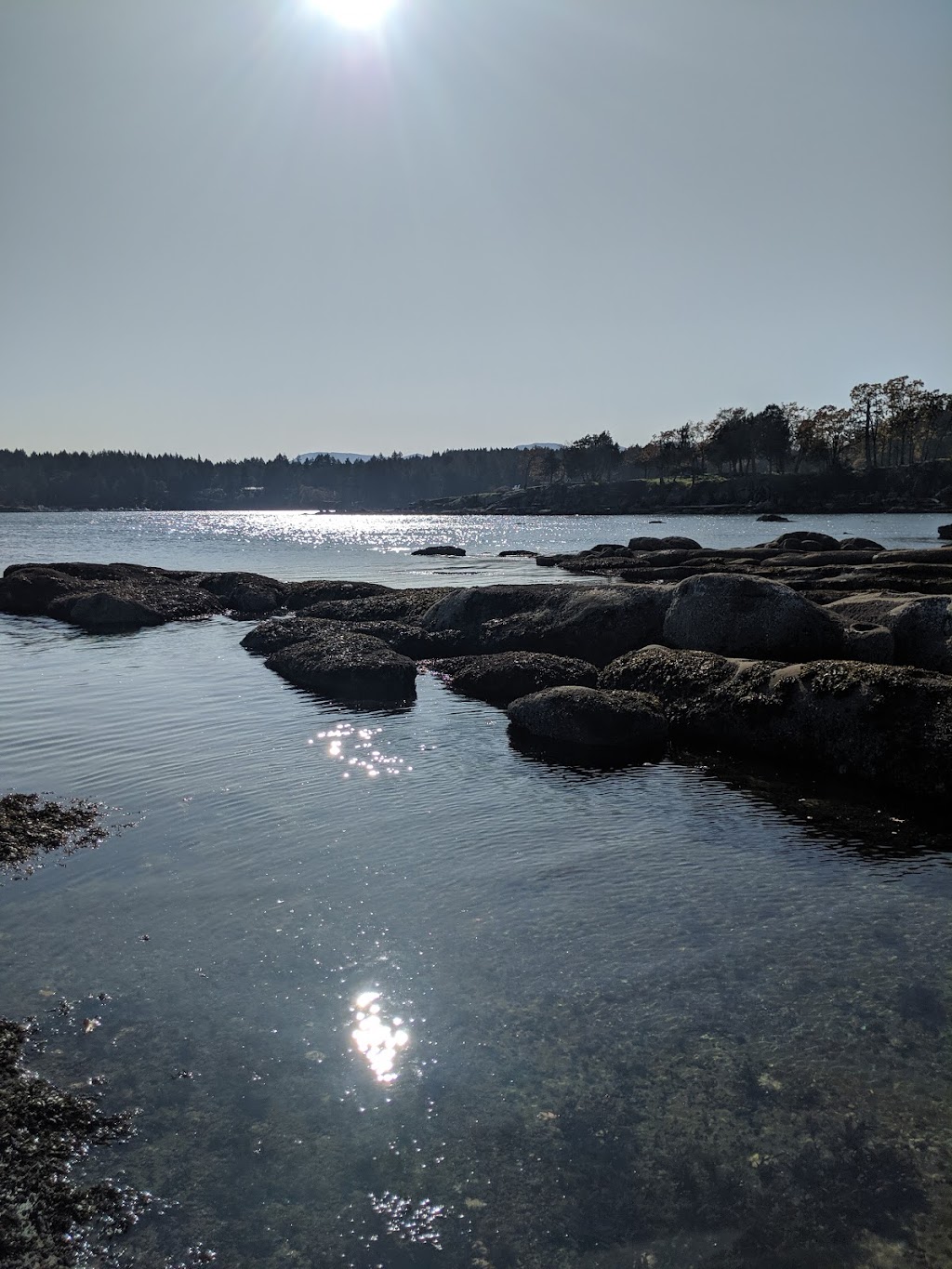 Canadian Pacific Algae | 3145 Headland Rd, Nanaimo, BC V9X 1N8, Canada | Phone: (250) 722-0219