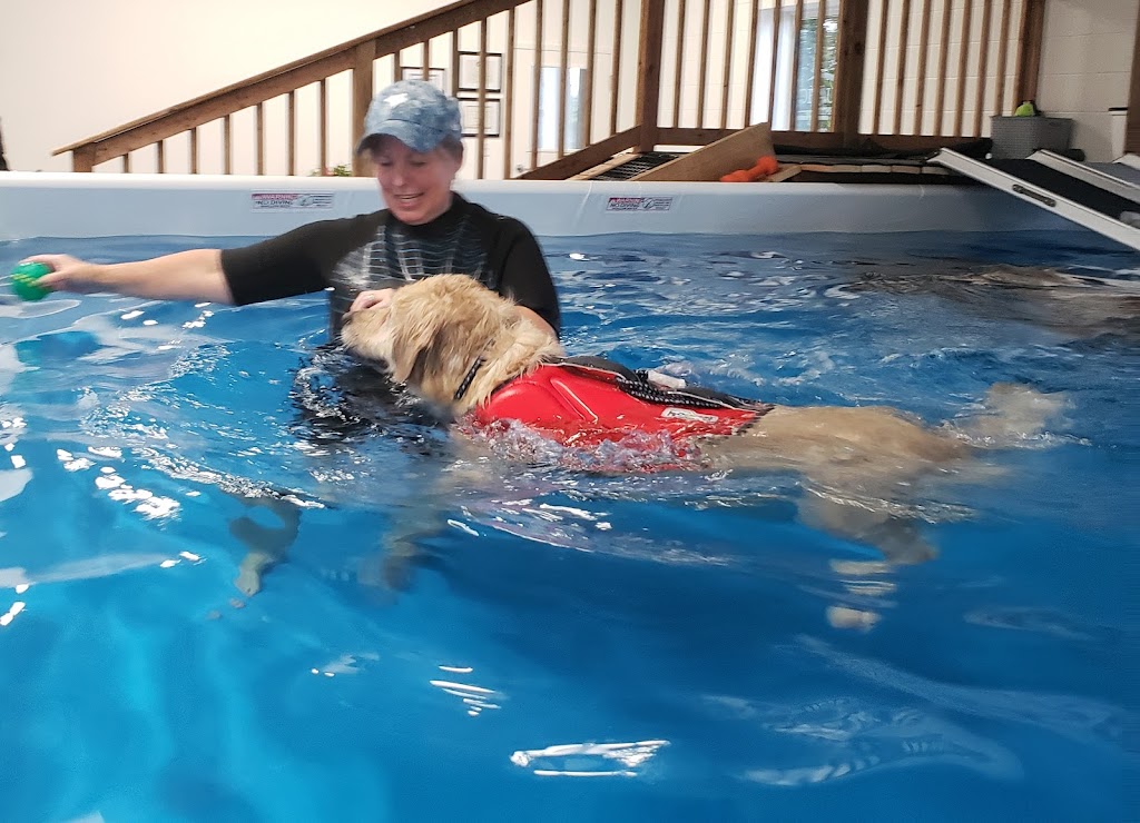 K9 Aquatic Care Centre | 15 Ontario Rd, Walkerton, ON N0G 2V0, Canada | Phone: (519) 901-2858