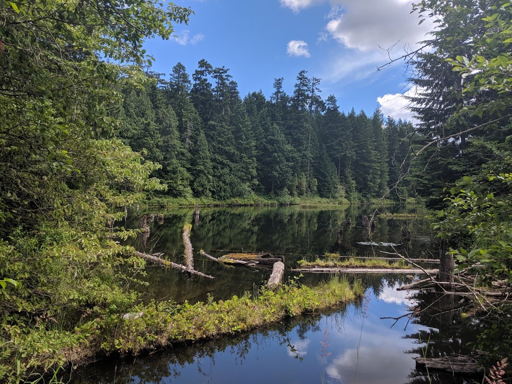 Morrell Nature Sanctuary | 787 Nanaimo Lakes Rd, Nanaimo, BC V9R 3C2, Canada | Phone: (250) 753-5811