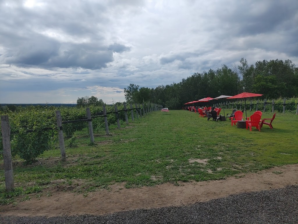 KIN Vineyards | 2225 Craigs Side Rd, Carp, ON K0A 1L0, Canada | Phone: (613) 519-1621