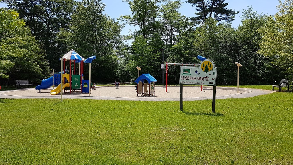 Silver Pines Parkette | 101 Stave Crescent, Richmond Hill, ON L4C 9J2, Canada | Phone: (905) 771-8870