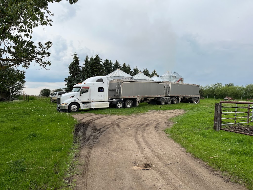 Stacks Transport | 9 Superb Bay, Winkler, MB R6W 1M1, Canada | Phone: (204) 362-4214