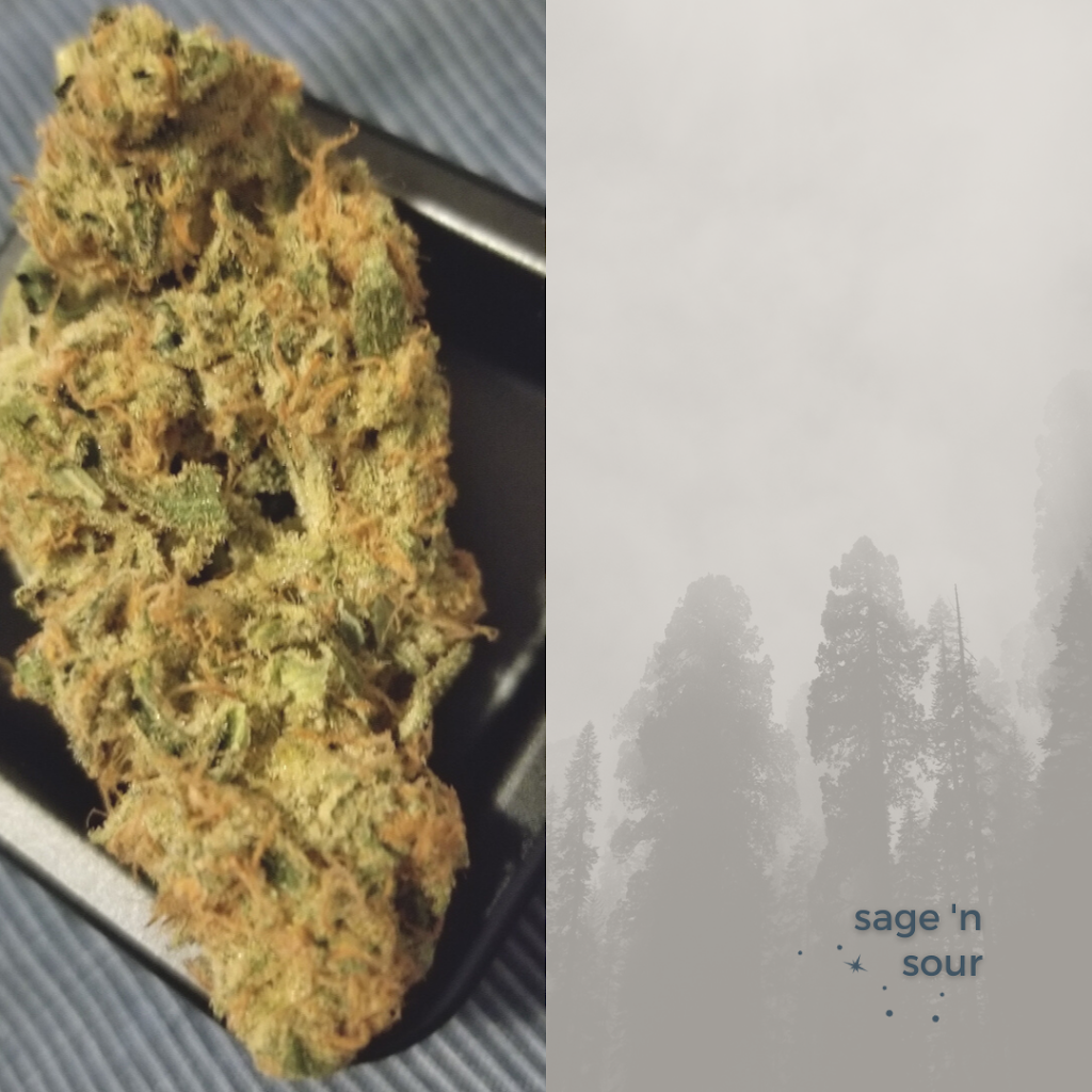 Big Sky Cannabis | 9919 Fairmount Dr SE Unit 130, Calgary, AB T2J 0S3, Canada | Phone: (403) 800-1108