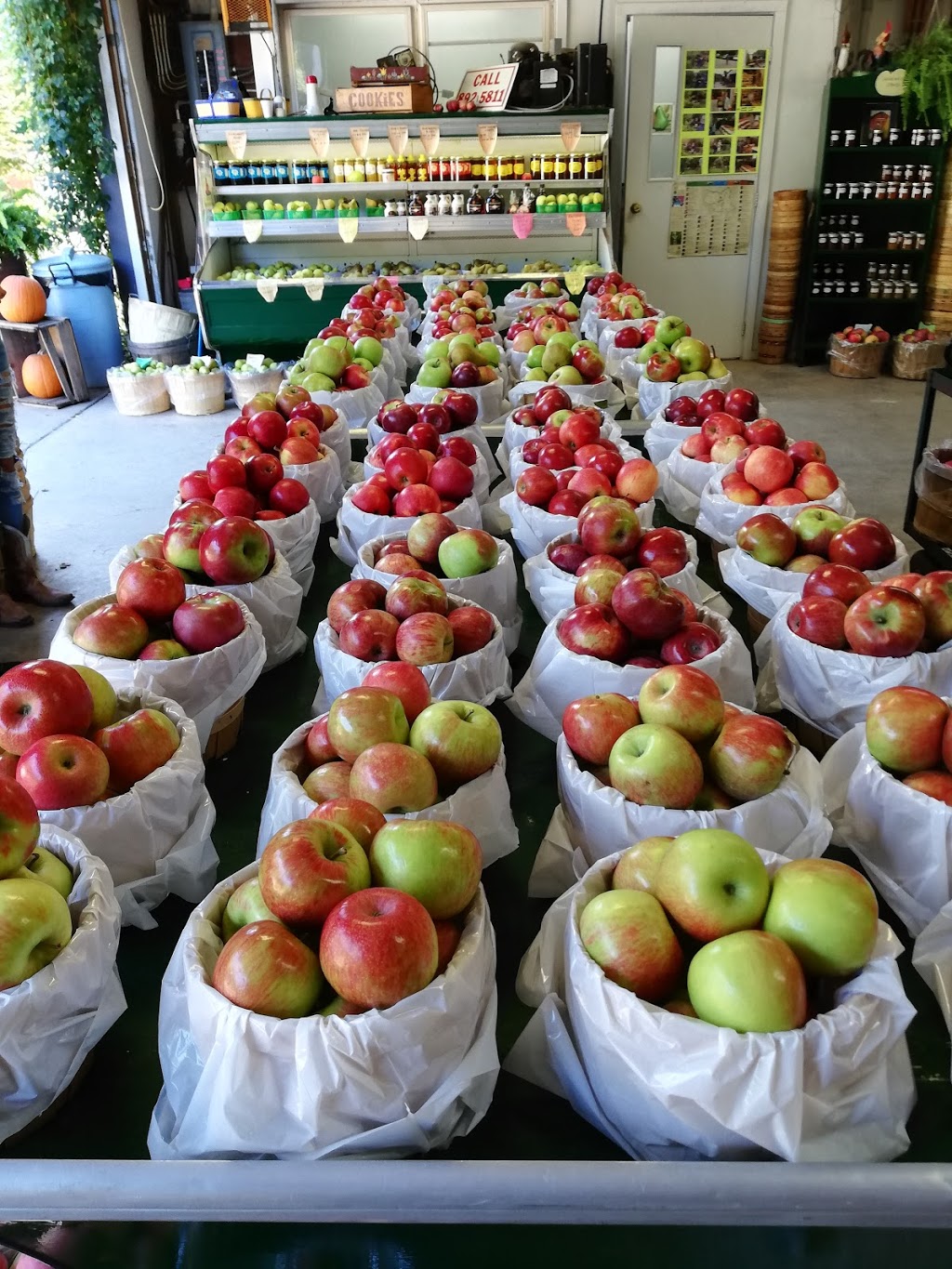 Fonthill Family Fruit Farm | 1724 Pelham St, Fonthill, ON L0S 1E6, Canada | Phone: (905) 892-5811