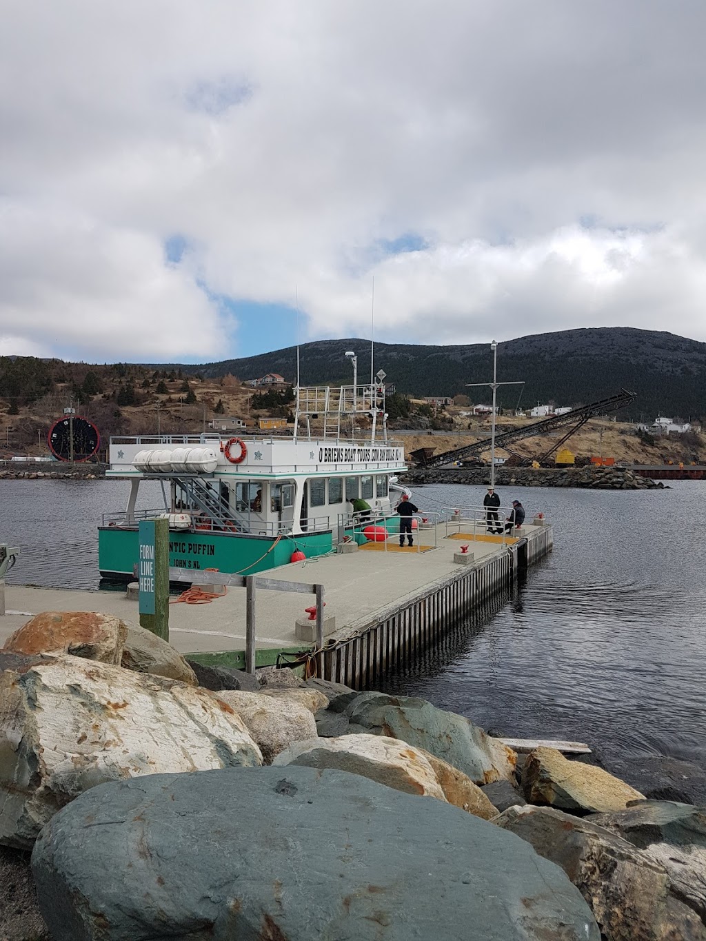 OBriens Whale and Bird Tours | 22 Lower Rd, Bay Bulls, NL A0A 1C0, Canada | Phone: (709) 753-4850