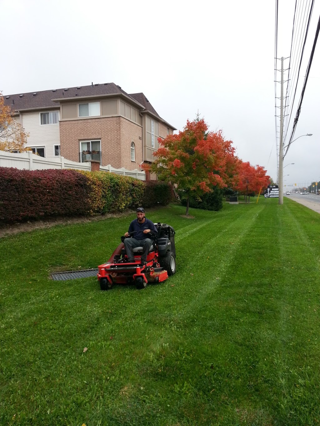 Silvas Landscaping & Snow Plowing | 502-1000 Cedarglen Gate, Mississauga, ON L5C 3Z5, Canada | Phone: (647) 284-0691