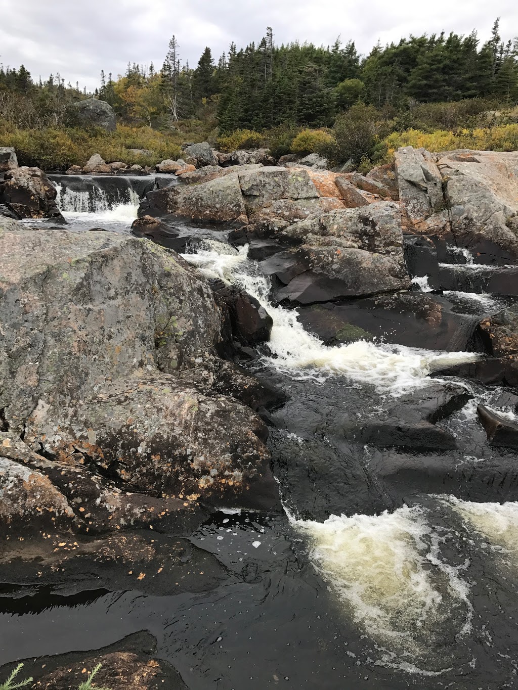 East Coast Trail | Bay Bulls, NL A1S 1R3, Canada