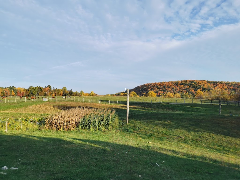 Ferme fée et fougère | 377, route 321 Nord, Ripon, QC J0V 1V0, Canada | Phone: (819) 428-1499