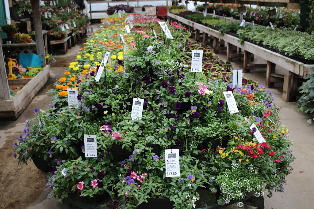 Listowel Greenhouses | 7877 Perth Road 164 R.R 2, Listowel, ON N4W 3G7, Canada | Phone: (519) 291-2434