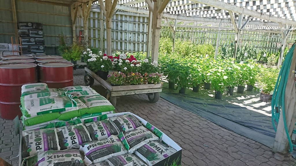 Vieveen Nursery | 468 Mara Rd, Beaverton, ON L0K 1A0, Canada | Phone: (705) 426-7067