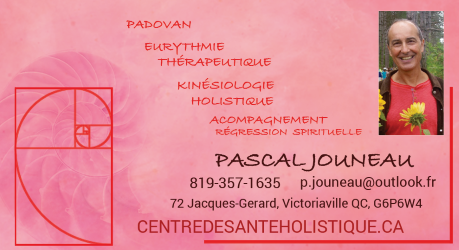 Centre de santé holistique | 72 Rue Jacques Gérard, Victoriaville, QC G6P 6W4, Canada | Phone: (819) 357-1635