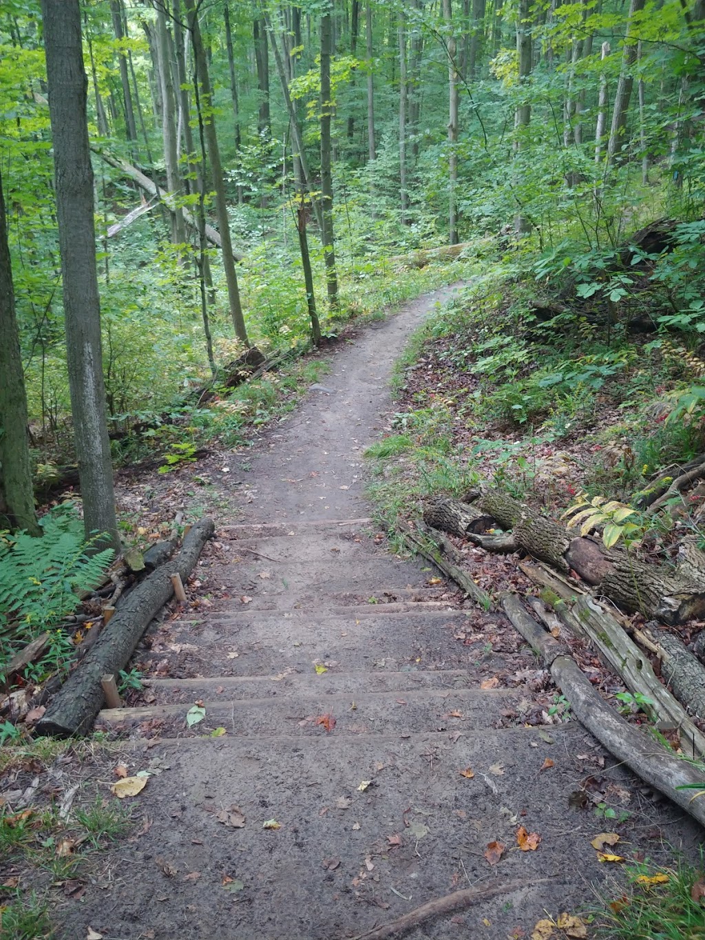 Bruce trail, hockley valley nature reserve. | 794110 3rd Line EHS, Orangeville, ON L9W 2Y8, Canada | Phone: (705) 435-2498