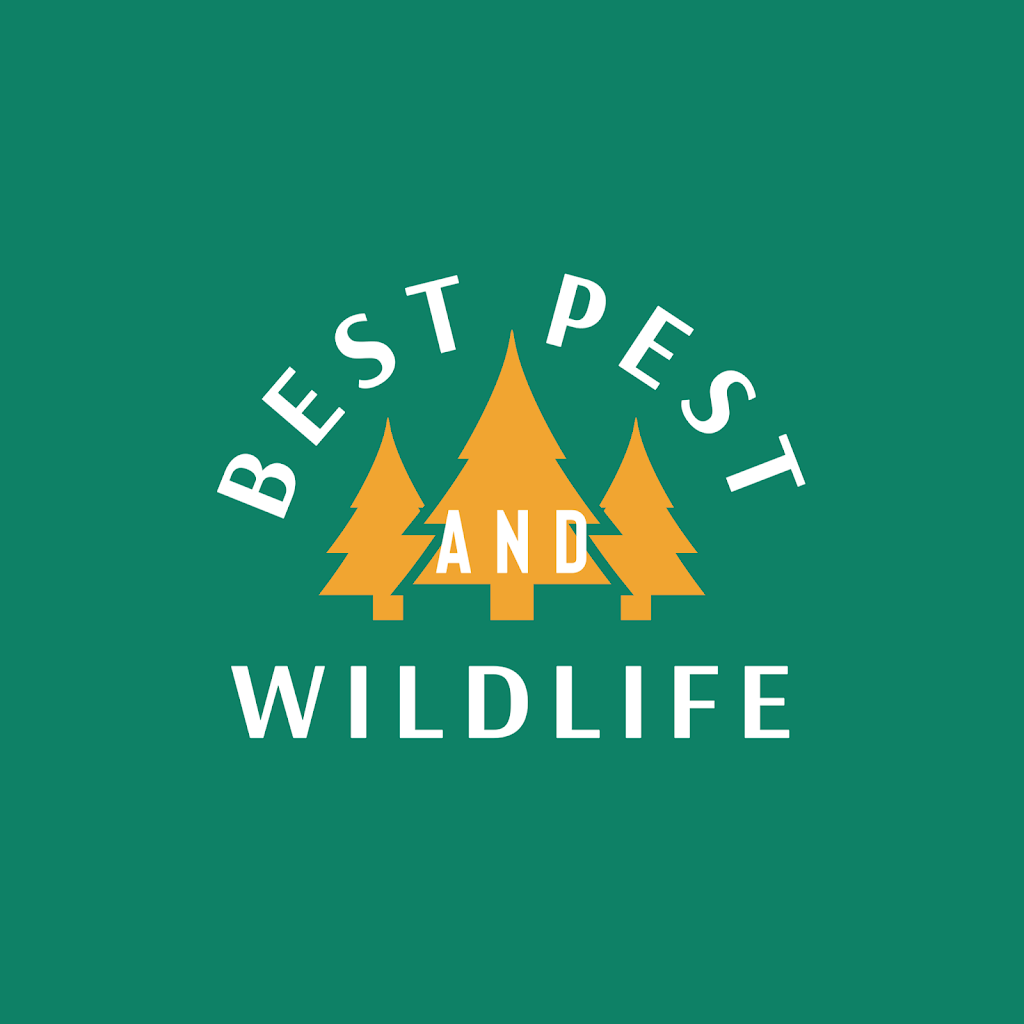 Best Pest and Wildlife Services | 650 Fennell Ave E, Hamilton, ON L8V 1T8, Canada | Phone: (289) 808-6856