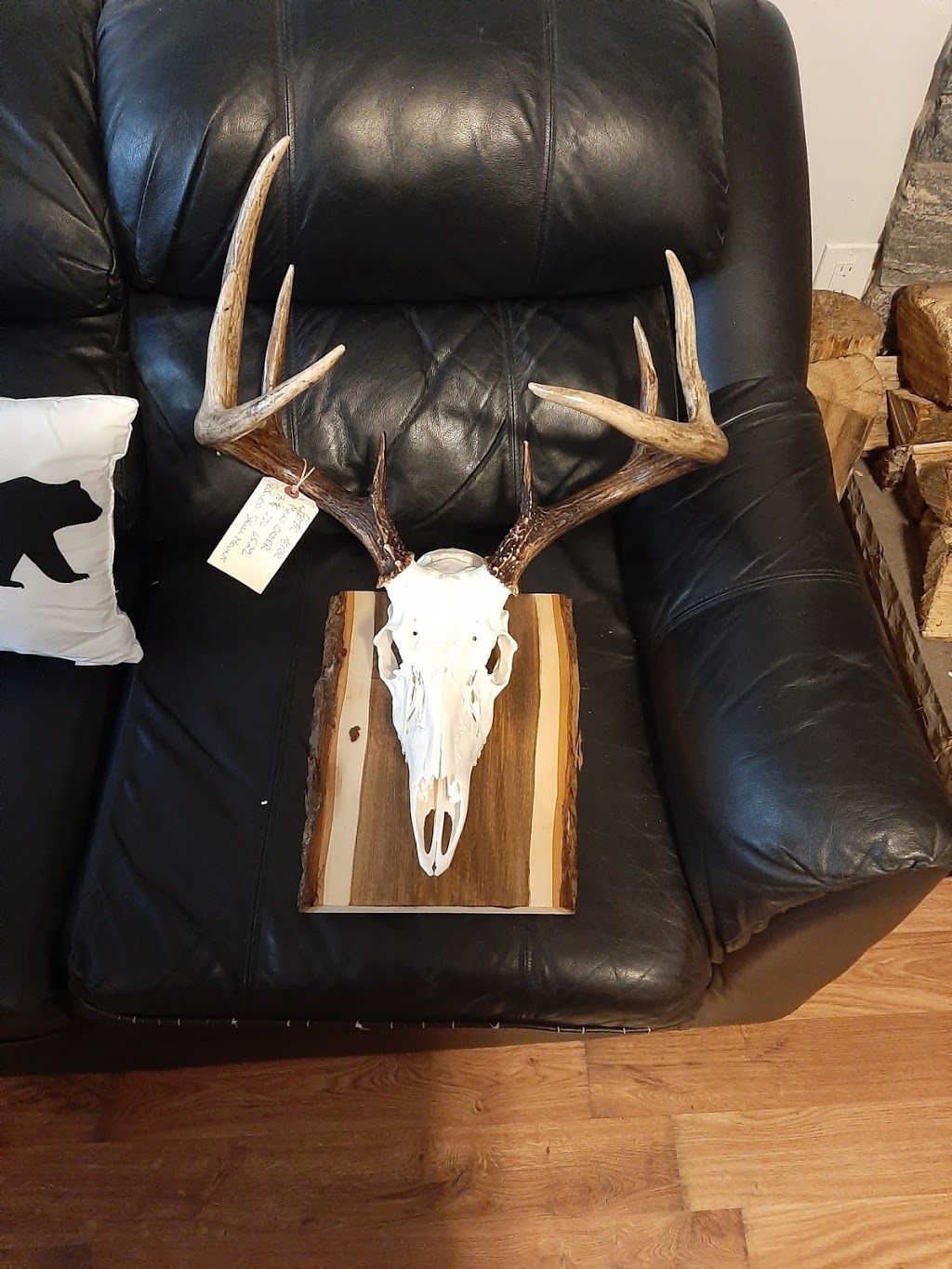 Racks Taxidermy | 3592 Linda St, Innisfil, ON L9S 2L2, Canada | Phone: (705) 294-1440