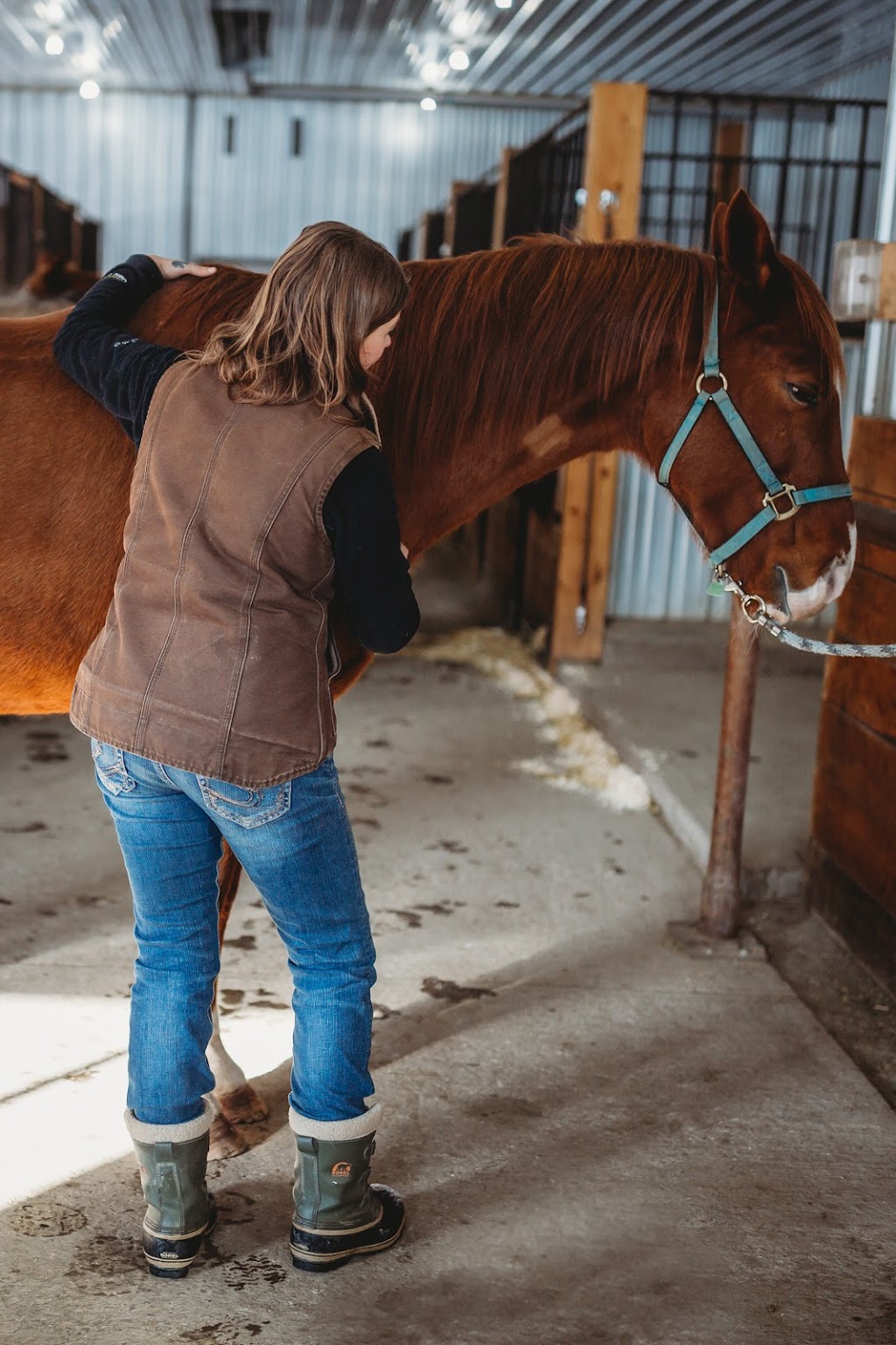 THE KNOT WHISPERER Equine Massage Therapy | Turner Valley, AB T0L, Canada | Phone: (403) 359-3540