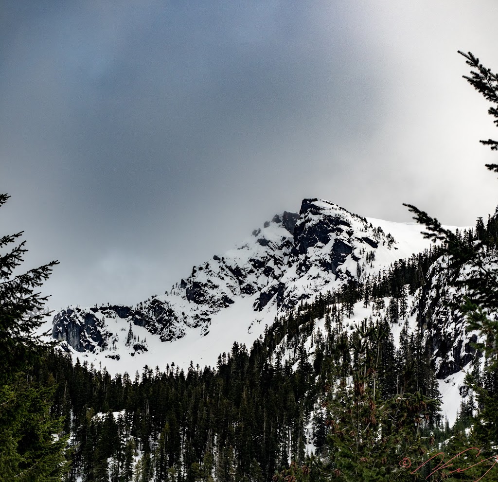 Skyline Ridge Trail | Unnamed Road, Britannia Beach, BC V0N 1J0, Canada