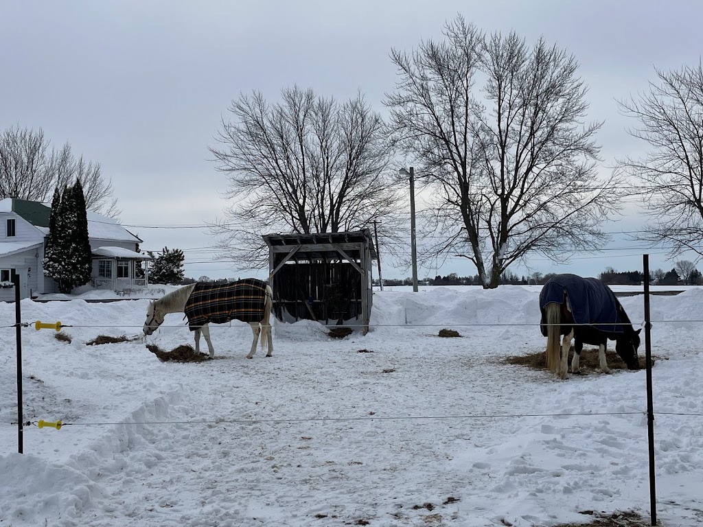 Equestrian Center & Services Équestres Lhéritage | 2740 Rang du Haut de la Rivière, Sainte-Élisabeth, QC J0K 2J0, Canada | Phone: (450) 365-7361