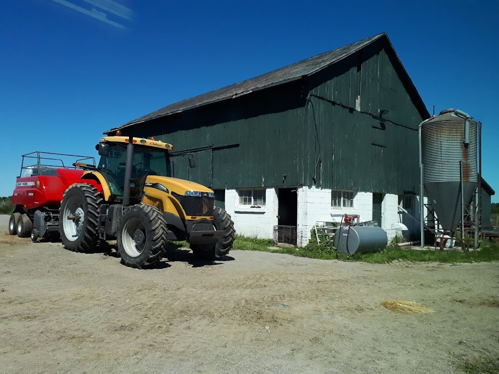 Norton Farms | rd, 2687 County Line Unit 74, Hagersville, ON N0A 1H0, Canada | Phone: (519) 900-6202