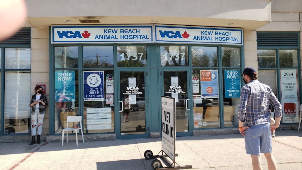 Kew Beach Veterinary Hospital | 1737 Queen St E, Toronto, ON M4L 6S5, Canada | Phone: (416) 778-4598