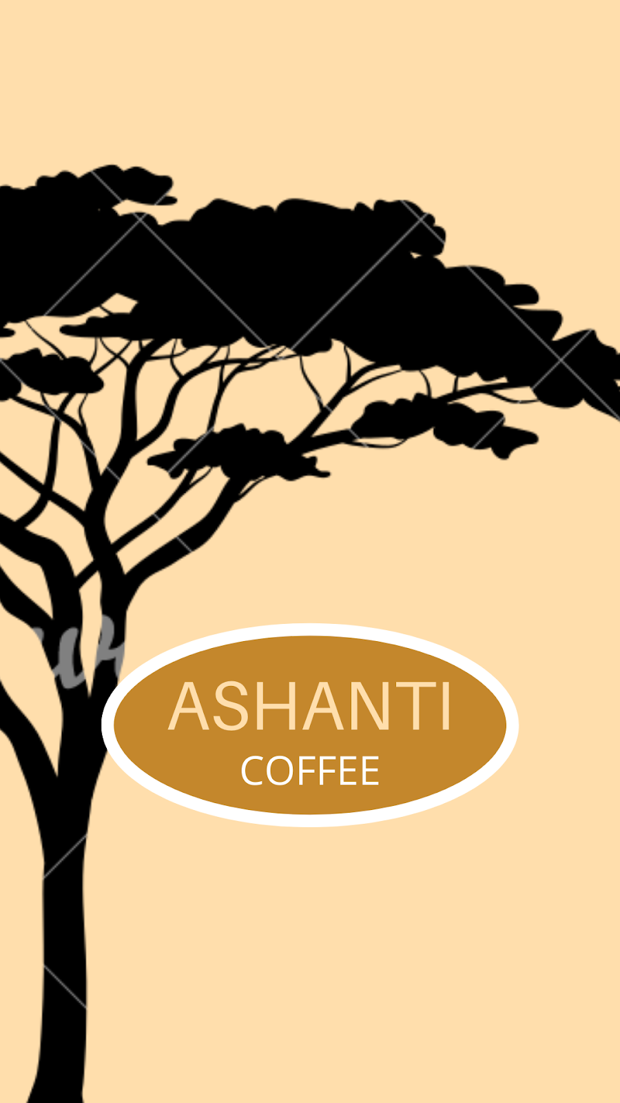 Ashanti Enterprises | 99 King St E, Thornbury, ON N0H 2P0, Canada | Phone: (519) 599-5615