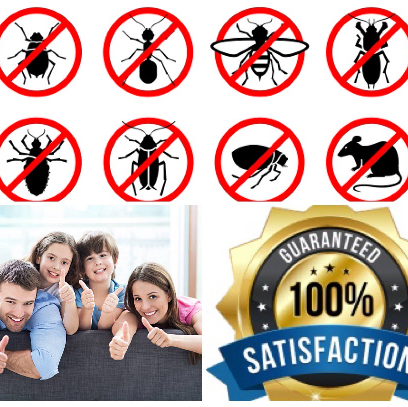 PEST CONTROL BRAMPTON - FAST | 63 Trailside Walk, Brampton, ON L6S 6H6, Canada | Phone: (647) 370-8805