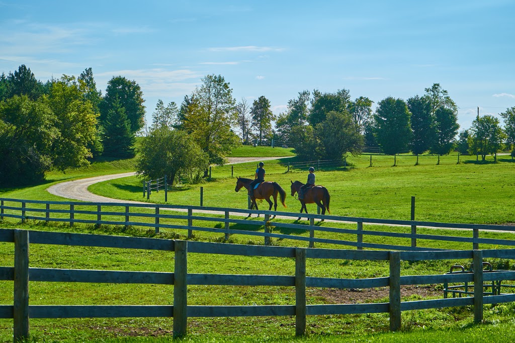 CanterBerry Stables | 8122 Eramosa Garafraxa Townline, Fergus, ON N1M 2W5, Canada | Phone: (519) 362-4889