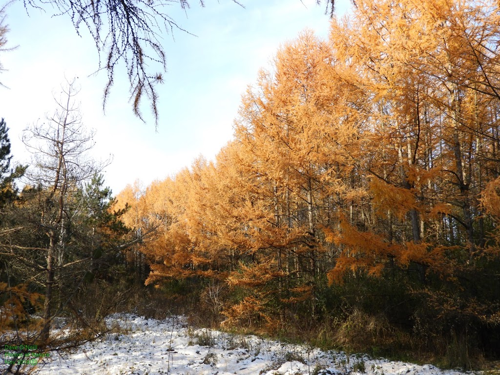 Old Quarry Trail | Eagleson Rd, Kanata, ON K2M 1A9, Canada