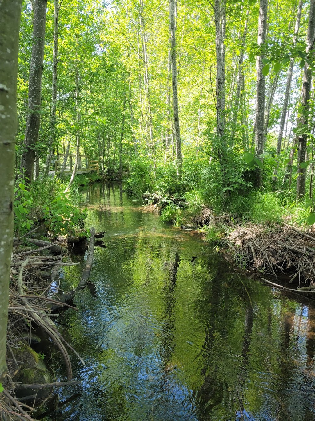 Great Blue Heron Nature Reserve | 5200 Sumas Prairie Rd, Chilliwack, BC V2R 4N7, Canada | Phone: (604) 823-6603