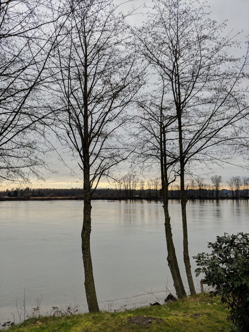 Shoreline Park | 51 Bonson Rd, Pitt Meadows, BC V3Y 0A9, Canada