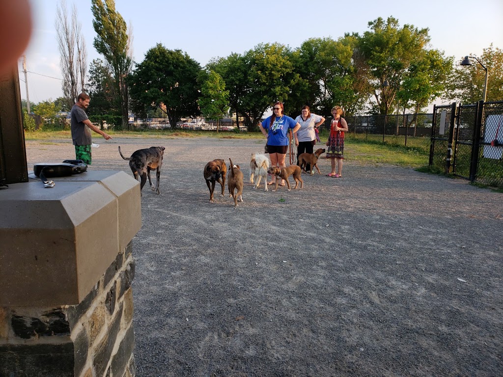 Dog Park | Buffalo, NY 14207, USA