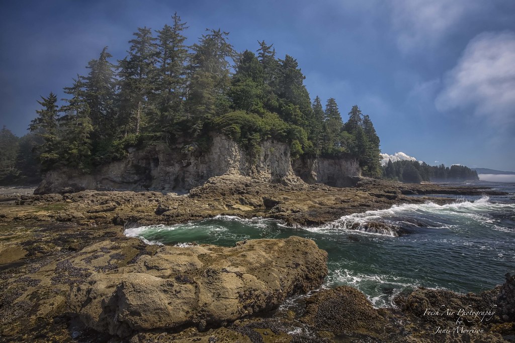 Port Renfrew Visitor Information Centre | 16947 Parkinson Rd B Building, Port Renfrew, BC V0S 1K0, Canada | Phone: (778) 402-2884