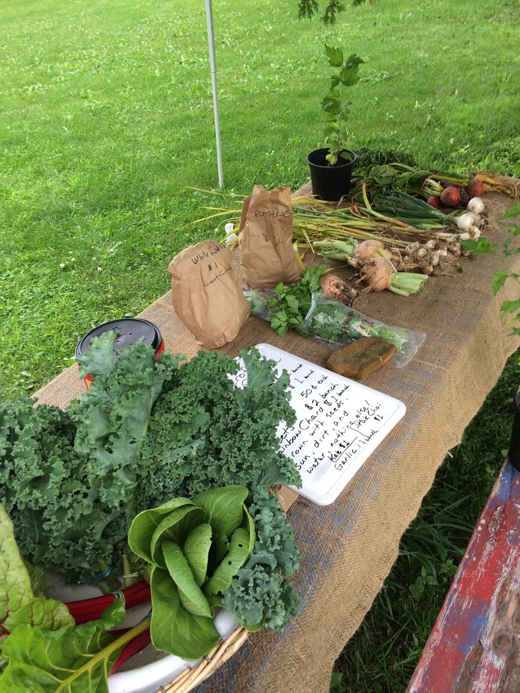 Eldercroft Market Garden | 1302 Windham Centre Rd, Windham Centre, ON N0E 2A0, Canada | Phone: (519) 443-8259